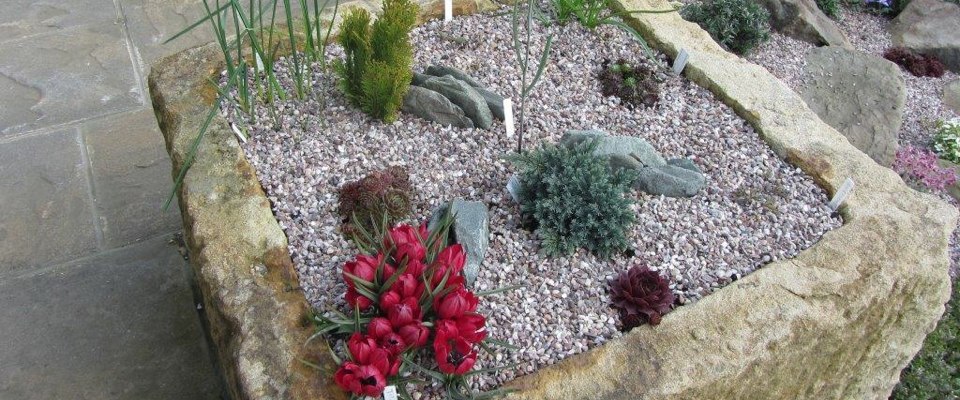 Black Knight Ranura en línea