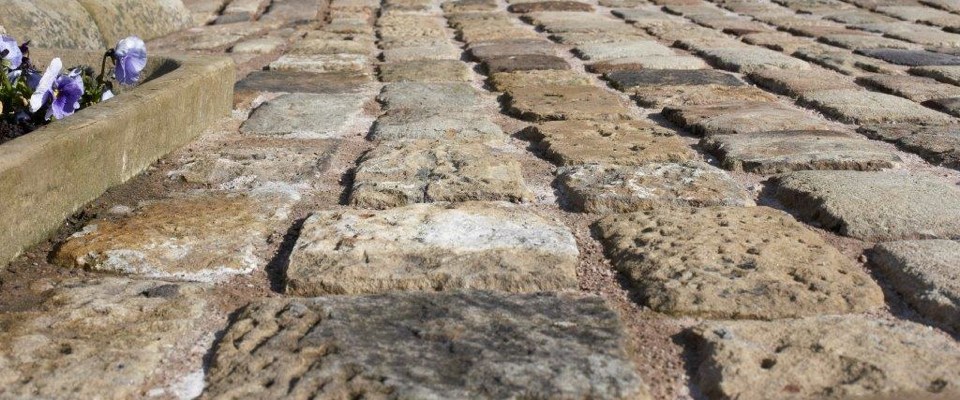 spielo juegos de computadora